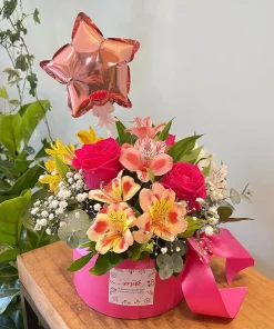 Box Estrela da minha Vida