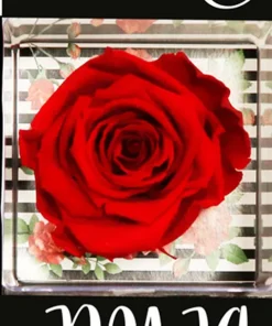 Alternative view of Mini Box Surpresa de Rosa Encantada