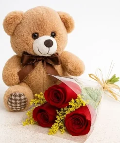 3 Rosas Com Pelúcia
