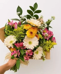 Alegria Em Flores