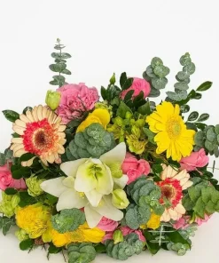 Aurora Floral
