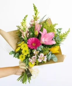 Encanto Mini Floral