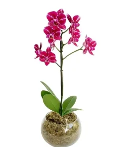 Mini Orquídea Rosa No Cachepô